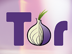 Российского математика могут привлечь к ответственности за использование Tor