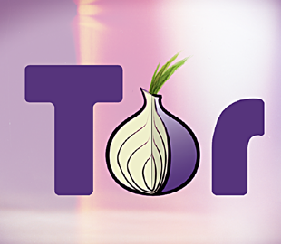 Российского математика могут привлечь к ответственности за использование Tor