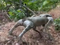 Українські військові використовують роботизованих собак для безпечної розвідки на Донбасі