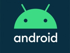 Google раскрыла реальную популярность разных версий Android