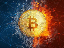 Исследование: биткоин остается самой популярной криптовалютой в даркнете