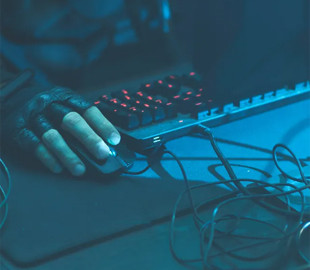 Балтійська країна зазнала найбільшої кібератаки у своїй історії