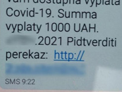 Фейкові виплати за вакцинацію: на Хмельниччині жінка зайшла на сайт і втратила тисячу євро