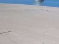 Опубликовано видео взрыва на пляже под Одессой, при котором погиб мужчина