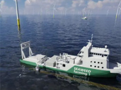 Забезпечить не тільки енергією: вітряна станція отримала незвичайну функцію