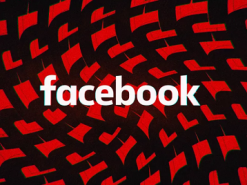 Диктаторы заточили Facebook под себя 