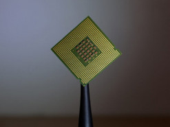 В США предложили запретить чипирование людей