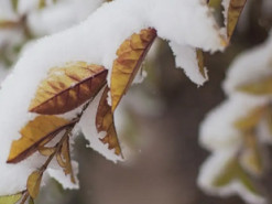 До 40 см снігу: народний синоптик попередив про різке похолодання в Україні