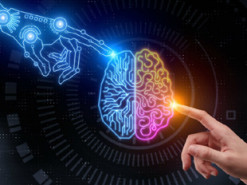 Память ИИ уступает биологической в эффективности