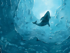 Украинец в Польше пытался возродить смертельно опасную игру "Синий кит"