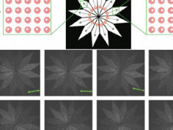 Контроль ориентации ДНК-оригами поможет интегрировать их в микросхемы