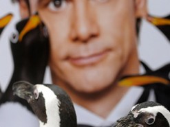 Джим Керри удалился из Facebook из-за России