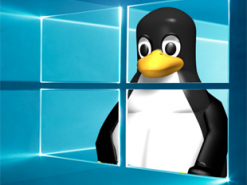 Linux обійшов Windows 11 в іграх: нові тести відкрили очі на реальність