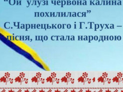 Маленький хлопчик розчулив світ виконанням пісні «Ой, у лузі червона калина…»