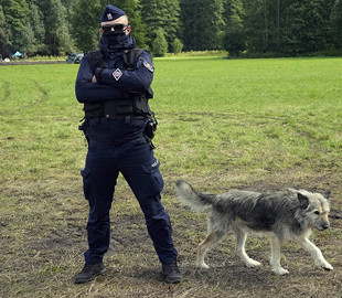 Иностранцы на границе с Польшей получают СМС-сообщения: "Возвращайтесь в Минск"