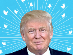 Twitter рассматривает возможность маркировки твитов Трампа