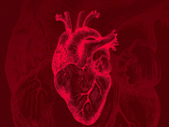 Искусственный интеллект, выявляющий остановку сердца, протестируют в Европе этим летом