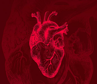 Искусственный интеллект, выявляющий остановку сердца, протестируют в Европе этим летом