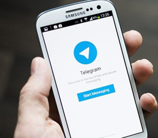 МВД запустил чат-бот для борьбы с домашним насилием