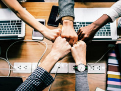 Українці, що втратили роботу через війну, можуть безкоштовно перекваліфікуватися і здобути нову спеціальність