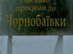 Кім відкрив прийом ставок на нову серію "Чорнобаївки"