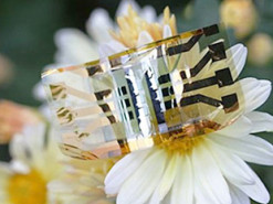 Новый гибкий солнечный элемент сможет поддерживать питание носимой электроники