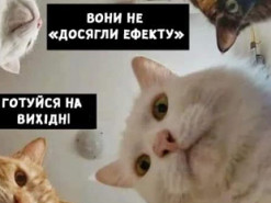 "Наташа, вставай, эффекта нет": интеллектуальный карантин в Украине высмеяли меткой фотожабой