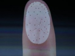 JDI встроила дактилоскопический датчик прямо в LCD-дисплей