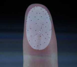 JDI встроила дактилоскопический датчик прямо в LCD-дисплей