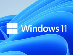 Windows 11 не даст пользователю отвлекаться от работы