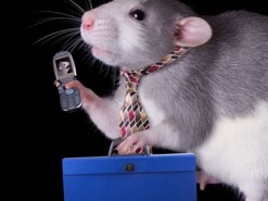 Радиация от смартфонов не вредит человеку