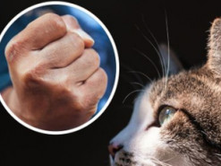 Под Хмельницким "копа" подозревают в издевательствах над животными, которые он снимал на телефон