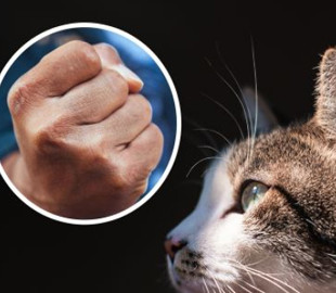 Под Хмельницким "копа" подозревают в издевательствах над животными, которые он снимал на телефон