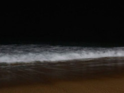 Оптическая иллюзия с пляжем поставила пользователей в тупик