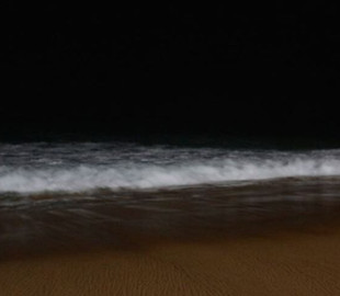 Оптическая иллюзия с пляжем поставила пользователей в тупик