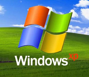 Авторы фото для Windows XP были по-разному оценены Microsoft