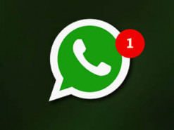 В мессенджере WhatsApp появилась тёмная тема