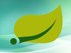 Во фреймворке Spring Framework обнаружена критическая уязвимость