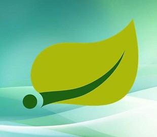 Во фреймворке Spring Framework обнаружена критическая уязвимость