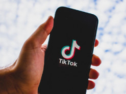 56-річна тіктокерка з Черкащини закликала змінити або захопити державну владу