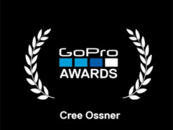 Подросток в США показал поразительно сложный трюк с принципом домино