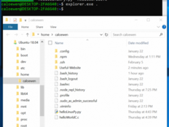 В Windows 10 появится доступ к файлам Linux из Проводника