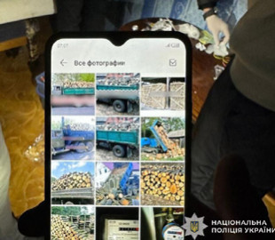 В’язень з Дніпропетровщини “продавав” дрова в інтернеті