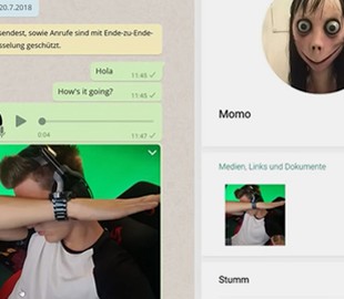 В WhatsApp обнаружили новую «смертельную» игру для детей