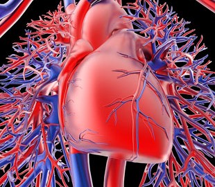 Алгоритмы предскажут летальный исход после сердечного приступа с точностью 85%