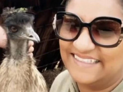 Селфі до добра не доводять: страус висмикнув і проковтнув дорогу сережку з вуха відвідувачки зоопарку