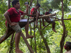 На Шри-Ланке школьники ловят интернет для онлайн-уроков на деревьях и скалах: фото