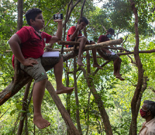 На Шри-Ланке школьники ловят интернет для онлайн-уроков на деревьях и скалах: фото
