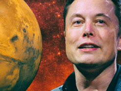 Маск требует от пользователей Starlink признания независимости Марса