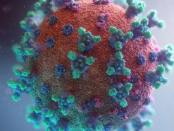 Ученые смоделировали "карту" мест самых частых заражений COVID-19